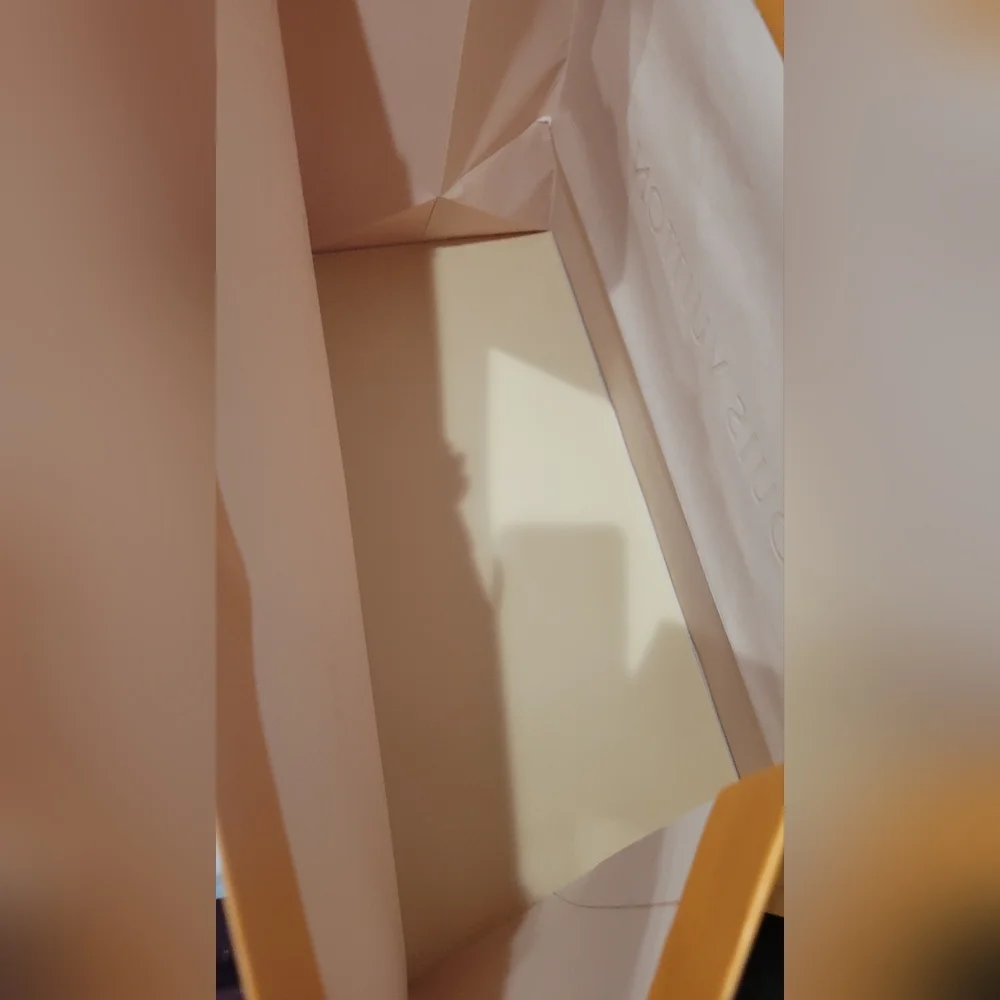 Louis Vuitton XXL paper gift shopping bag